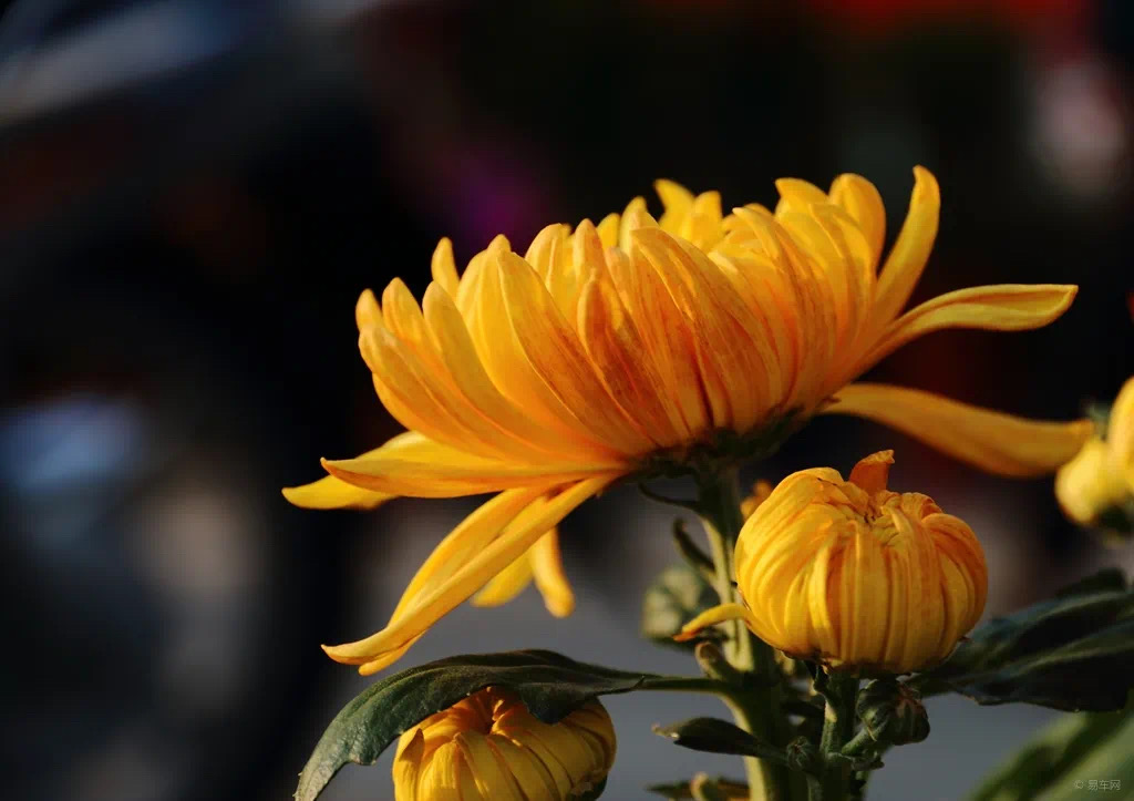 微信图片_20211014165759.jpg 微信图片_20211014165759.jpg