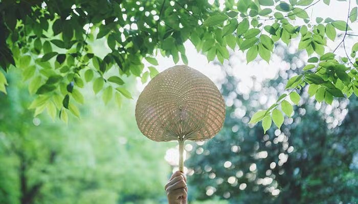 6-27-1.jpg 6-27-1.jpg