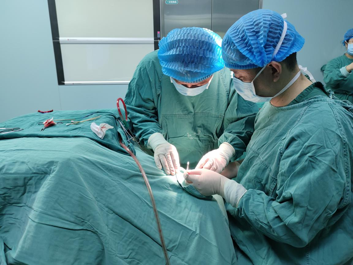 图片8.png 图片8.png