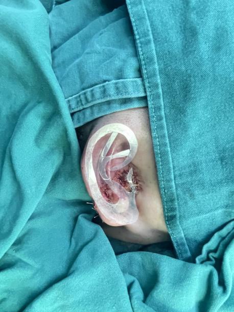 12ADD872-F1BE-44E1-A32D-8E62FB1F1C31.jpeg 12ADD872-F1BE-44E1-A32D-8E62FB1F1C31.jpeg