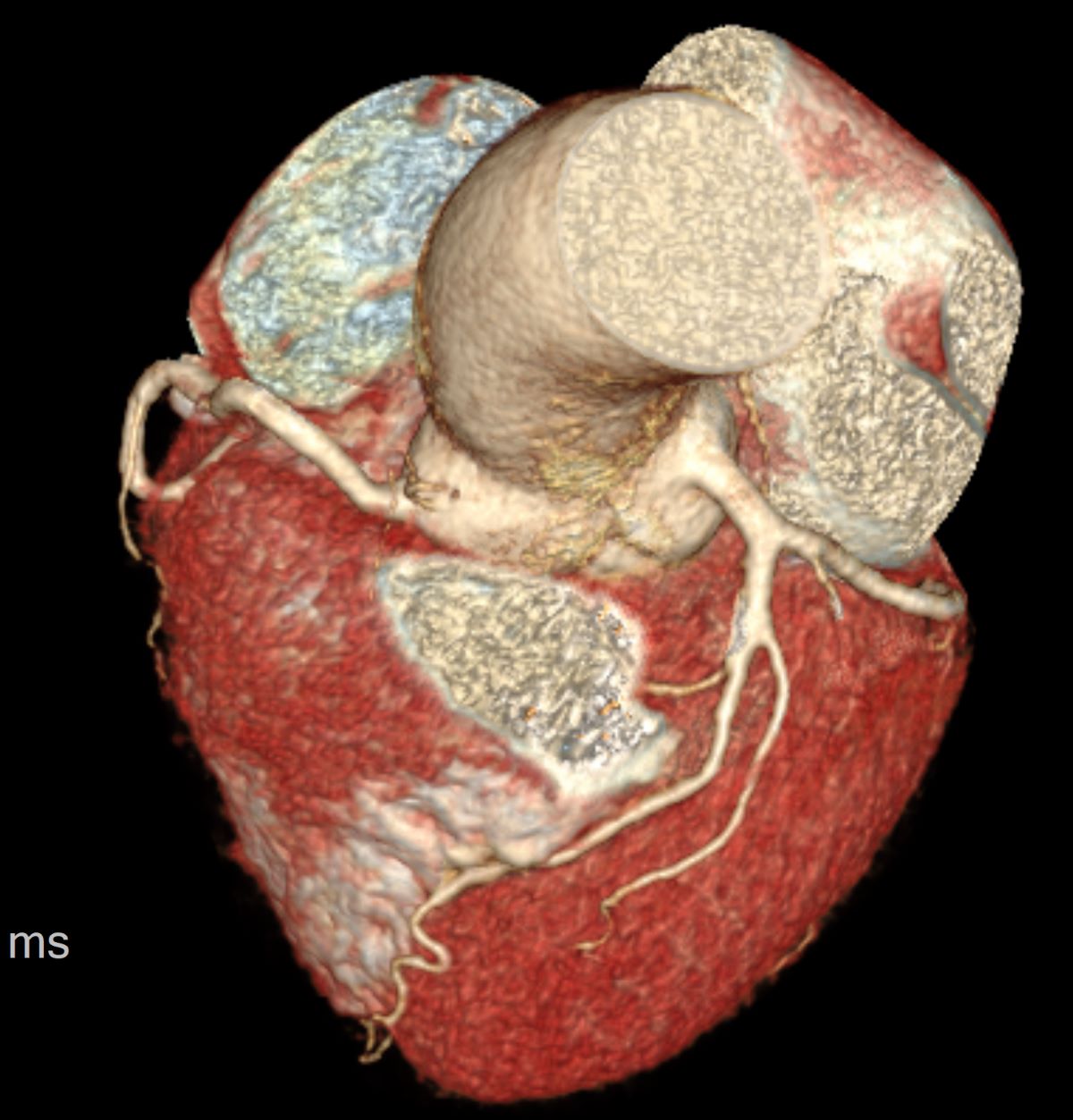 图片12.jpg 图片12.jpg