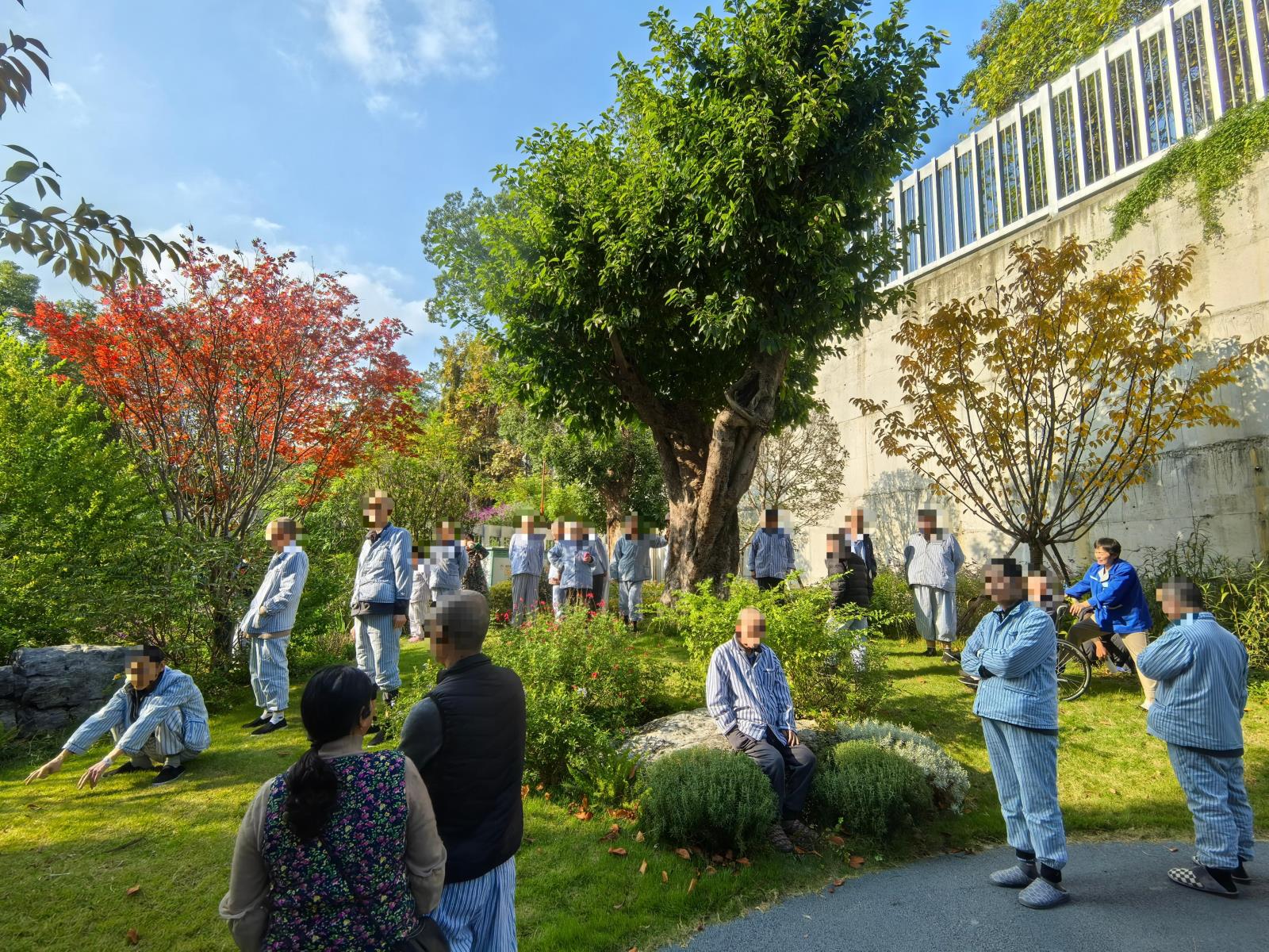 重症精神三科护理团队创新护理模式，正念治疗助力患者康复