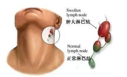 微信图片_20250305202702.jpg 微信图片_20250305202702.jpg
