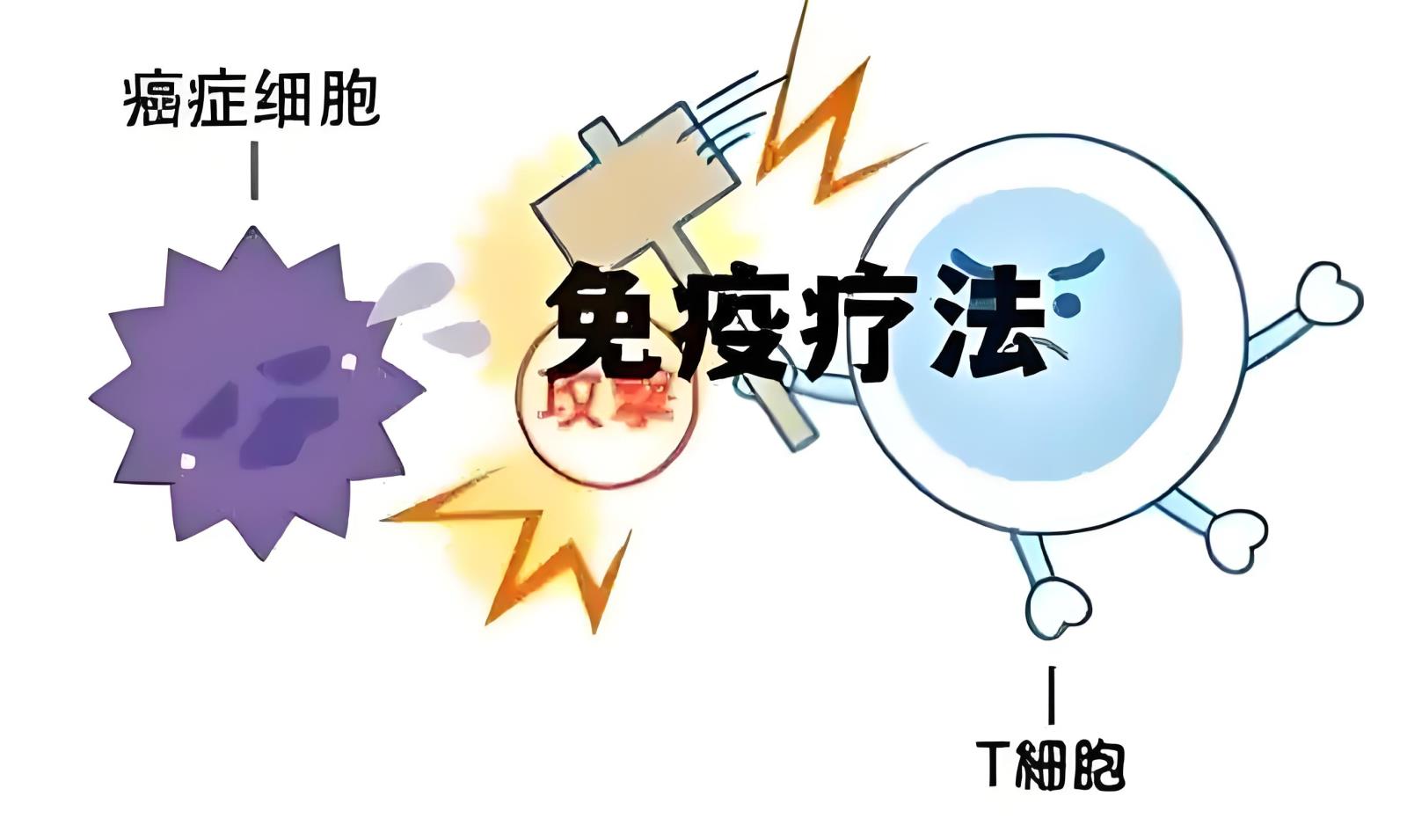 精准抗癌：免疫治疗五大核心问答