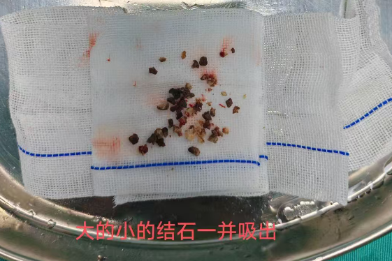 202510301335330012.png 202510301335330012.png