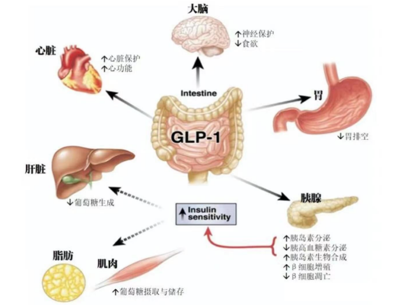 图片21.png 图片21.png
