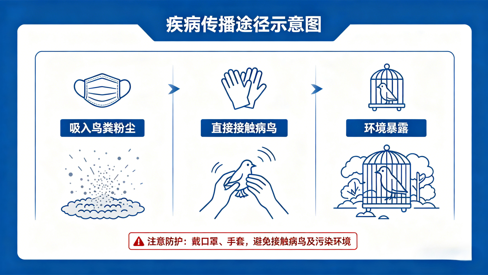 科学养宠远离鹦鹉热，这份防护指南请收好